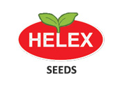 Helex Seeds Logo