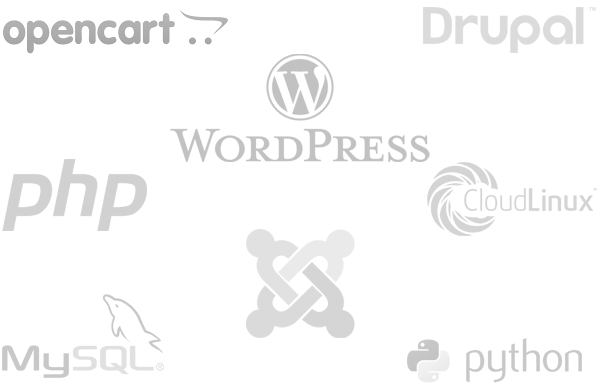 Most Reliable Web Hosting in Patna